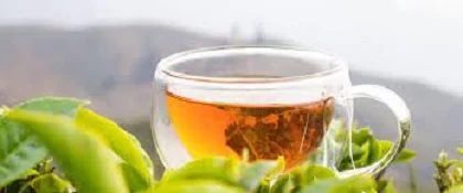 darjeeling tea, Darjeeling tour packages